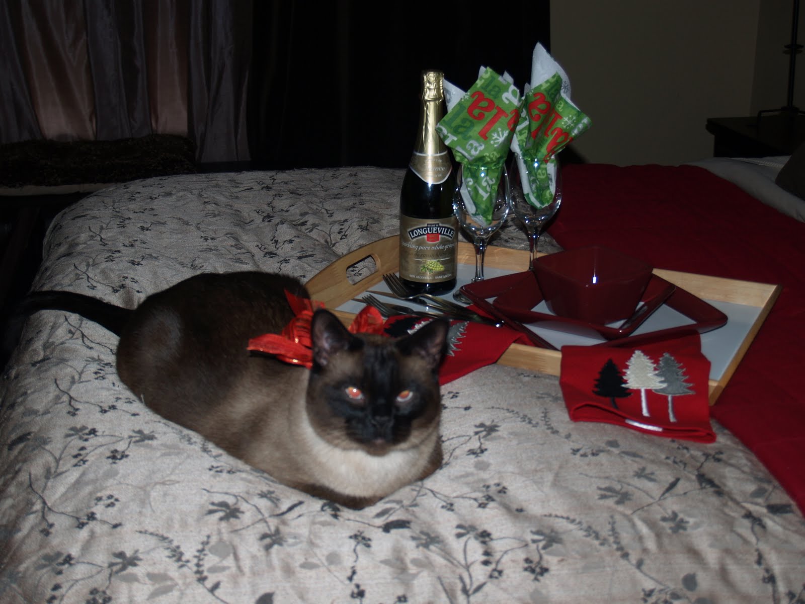 [November+December+2009+054.jpg]