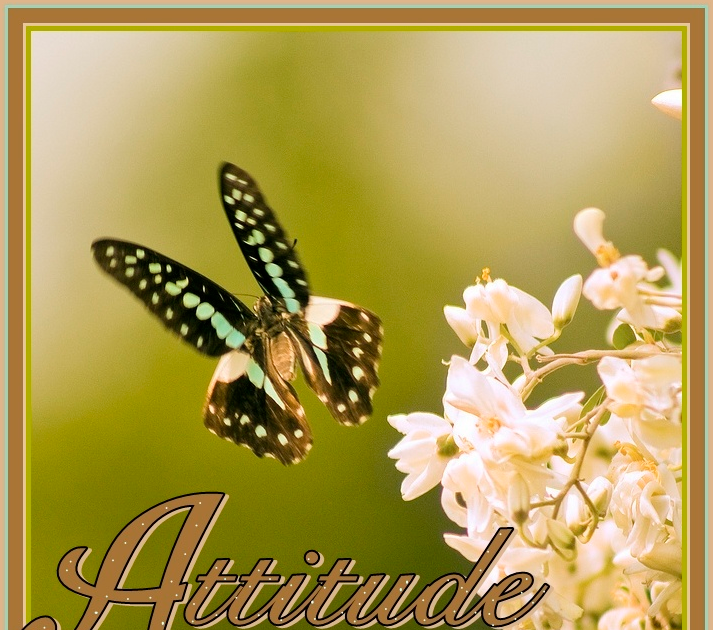 Weighing The Facts: Inspirational Eating Disorder Recovery Quotes: Attitude