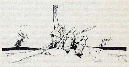 [NIORK-11.jpg]