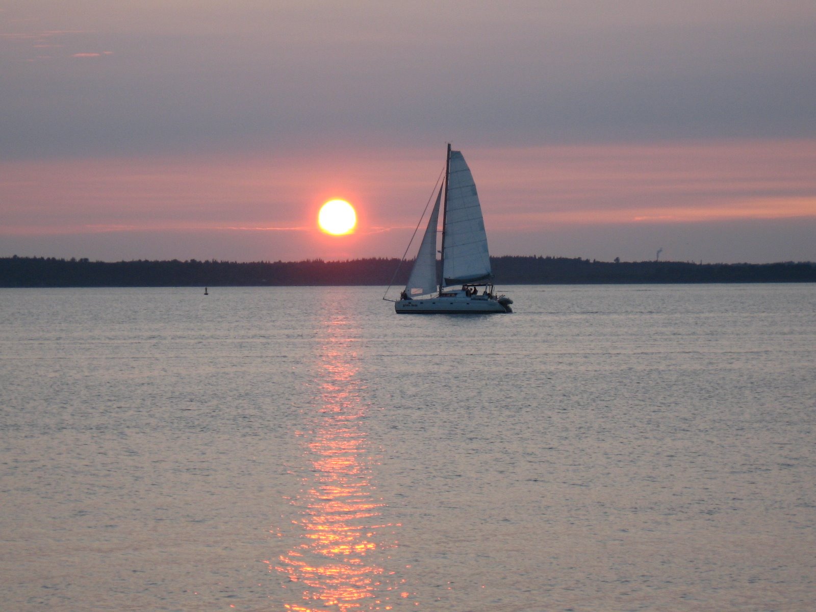 [IMG_0892.JPG]