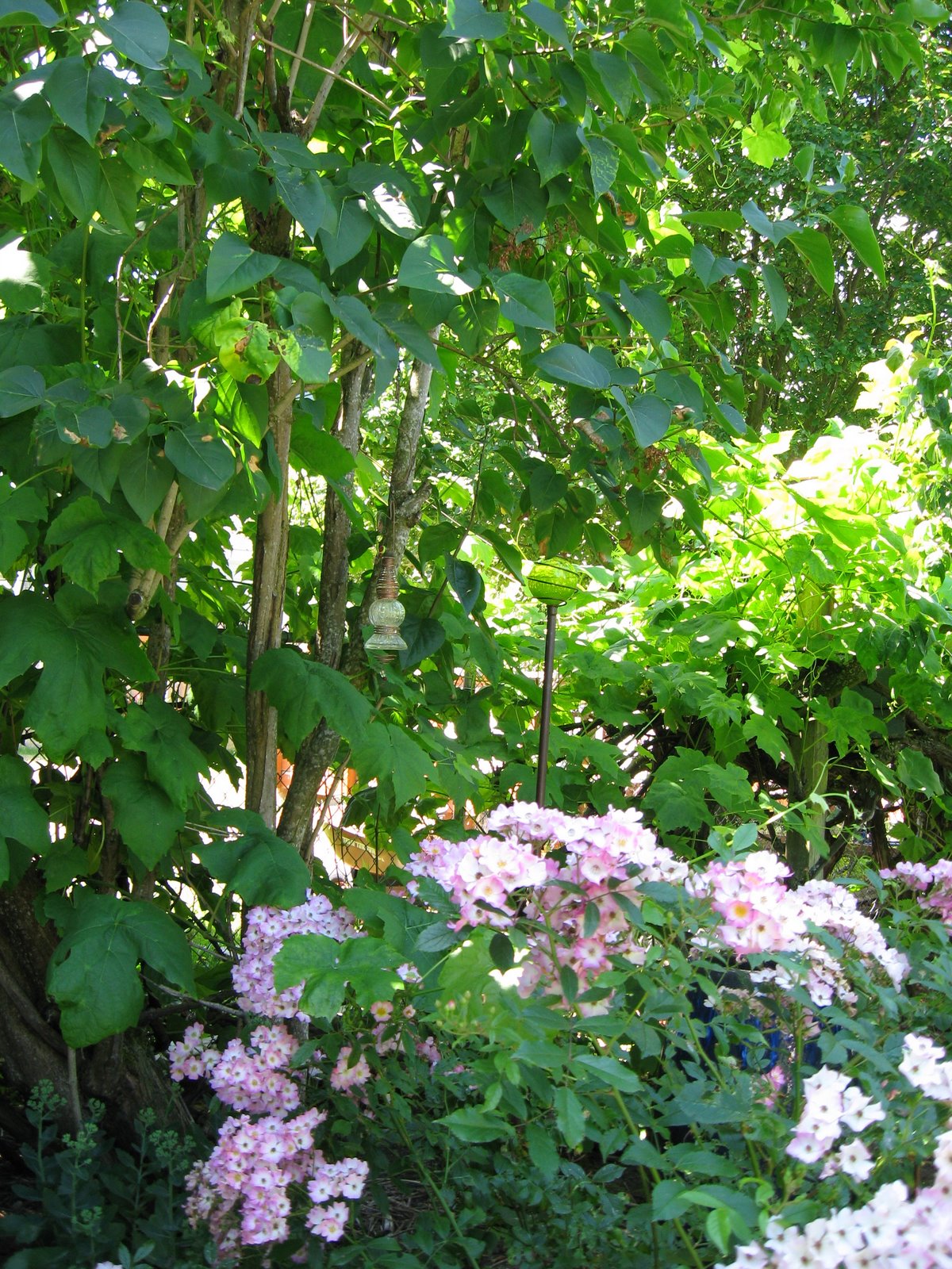 [IMG_3219.JPG]