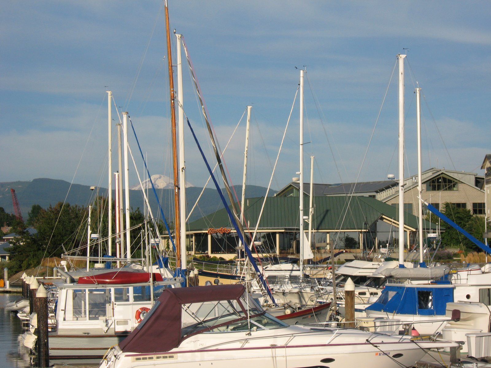 [IMG_3230.JPG]