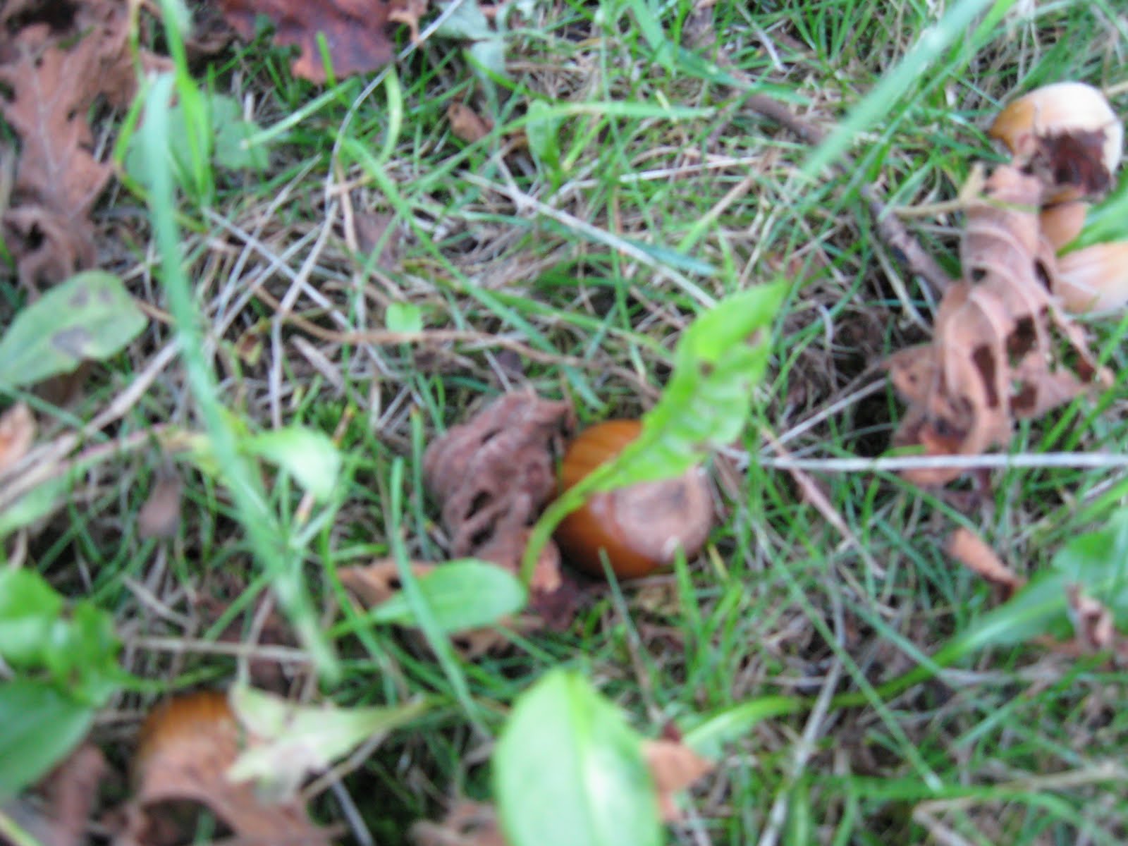 [IMG_4105.JPG]