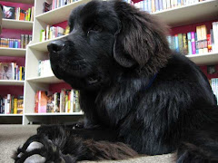 Finn's Dog-Eared Book Blog