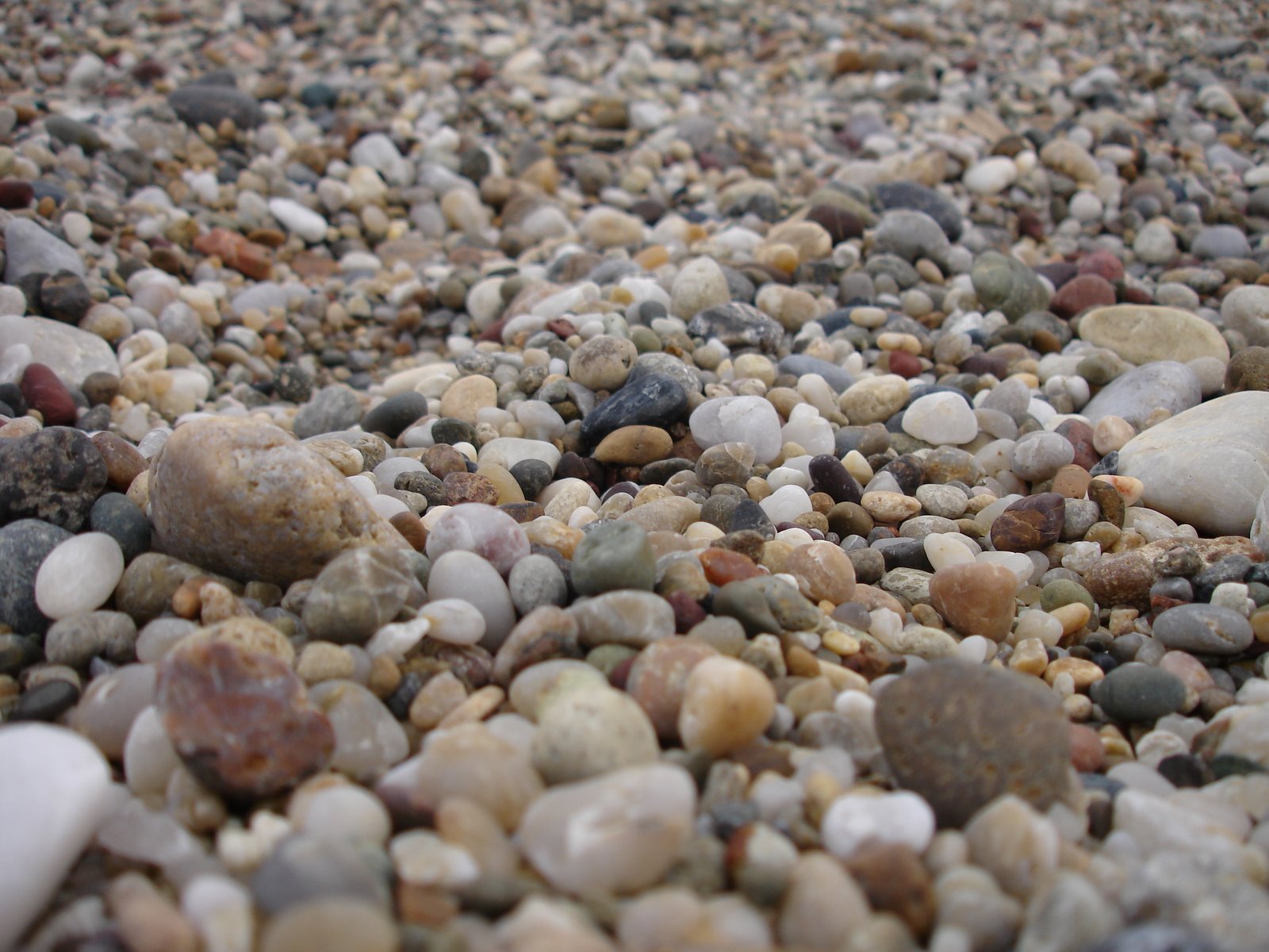 [DSC02739.JPG]