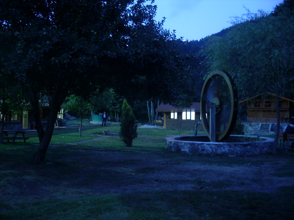 [SDC13223.JPG]