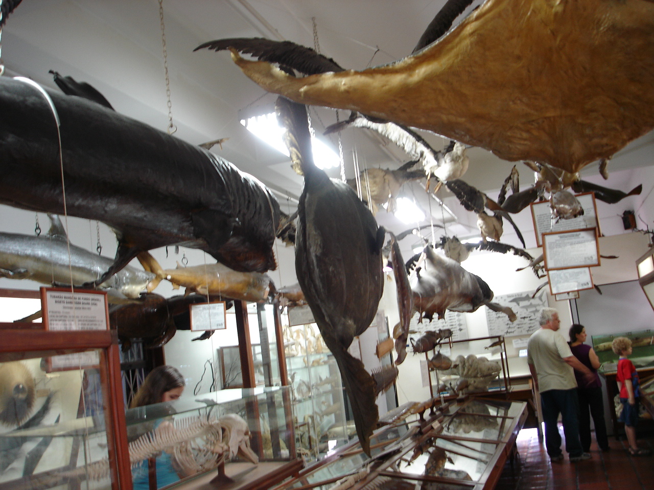 [expos+Museu+Mar.JPG]
