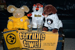 We love the Pittsburgh Steelers
