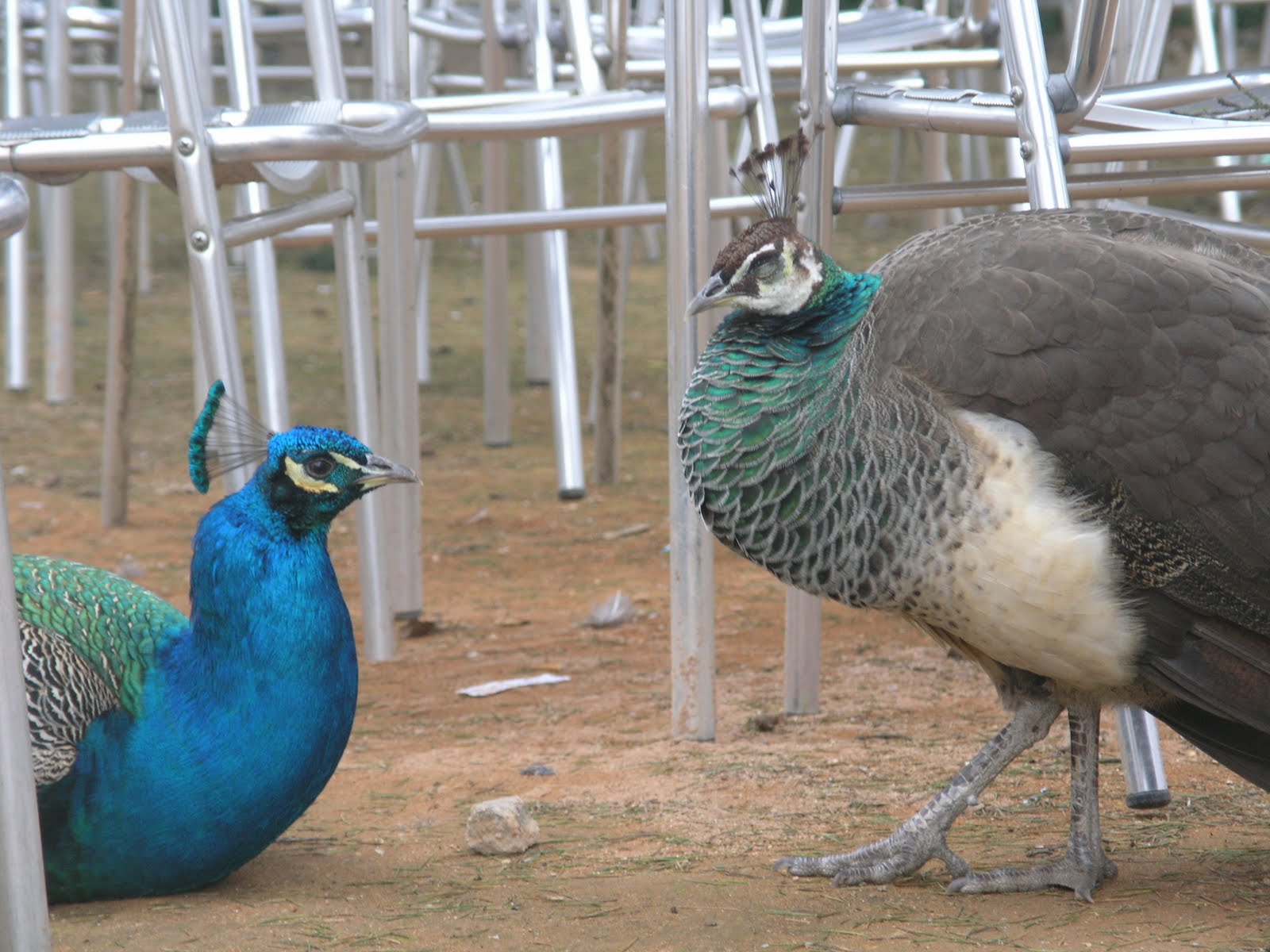 [P2074911.JPG]