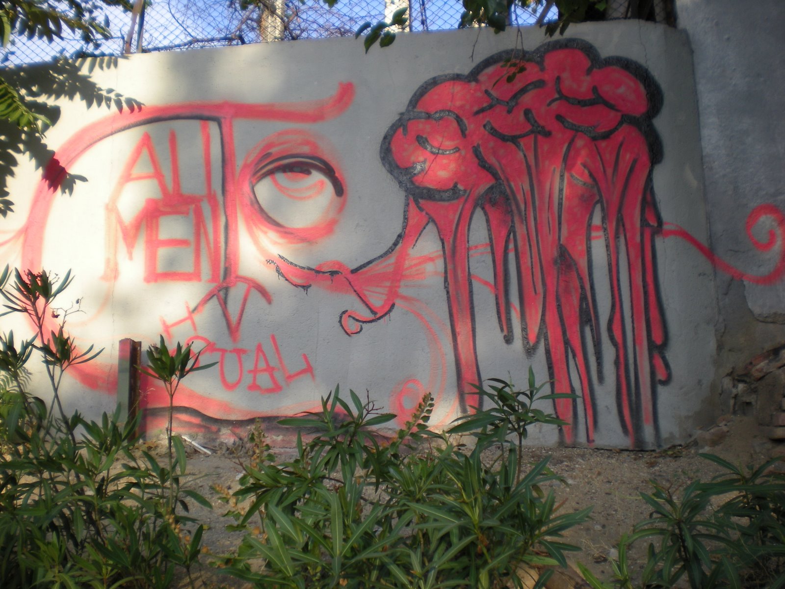 [ines+017.JPG]