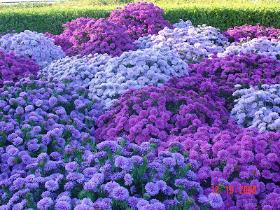 Captivat, dar nu captiv