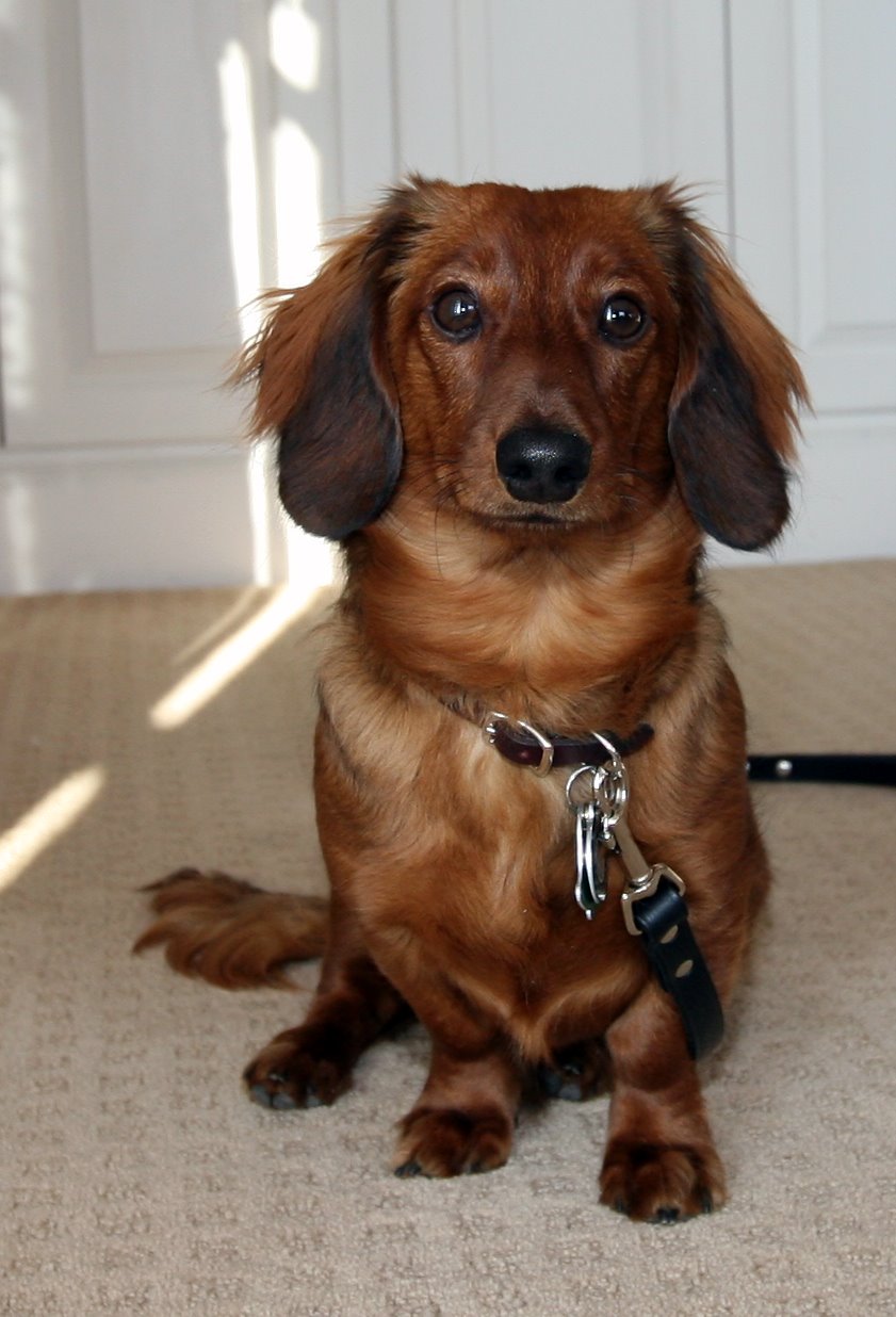 [2008-03-23+0835266.JPG]