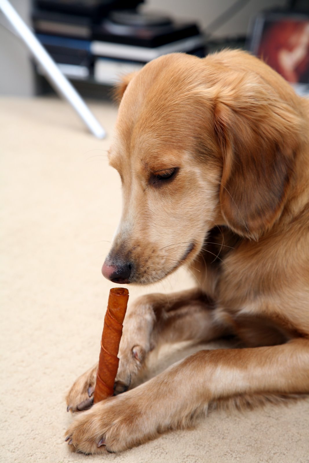 [2007-12-25+0738433.JPG]