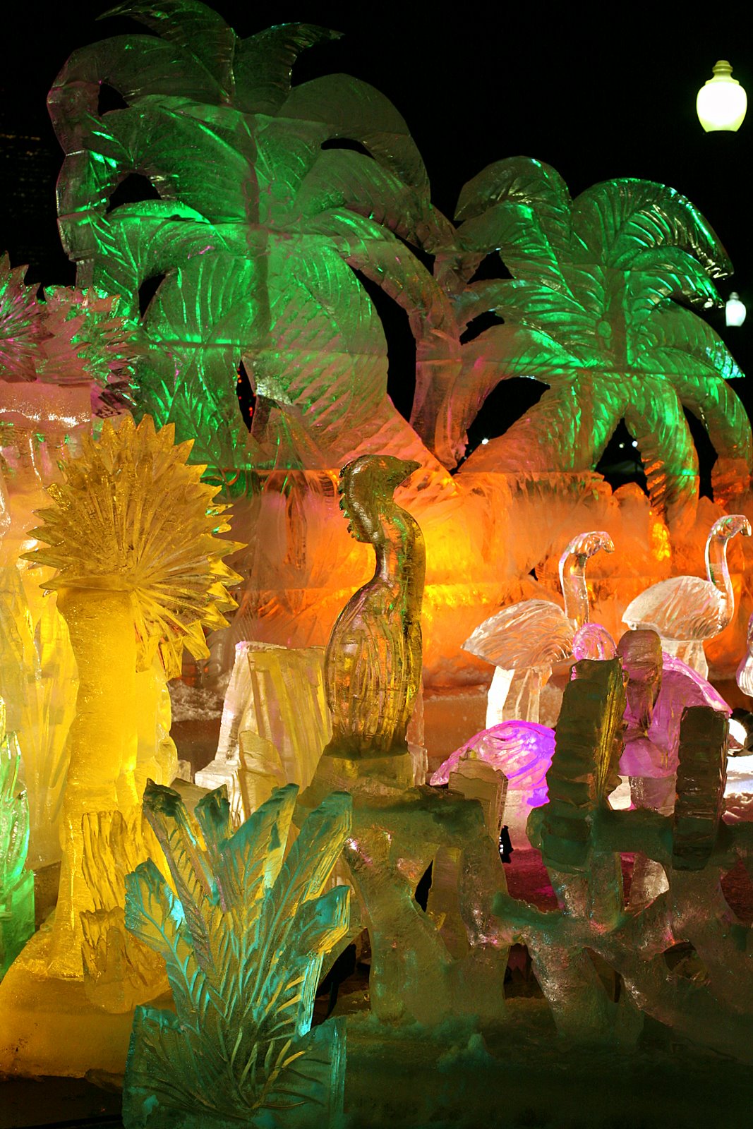 [2007-12-31+1726117.JPG]