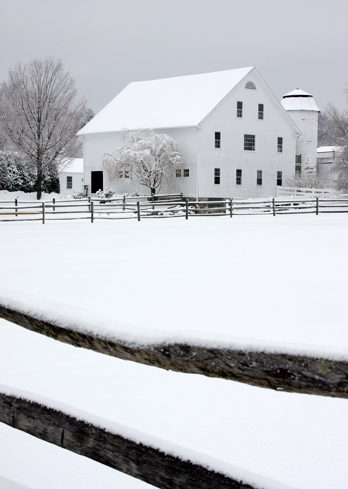 [2008-01-15+0831099.JPG]