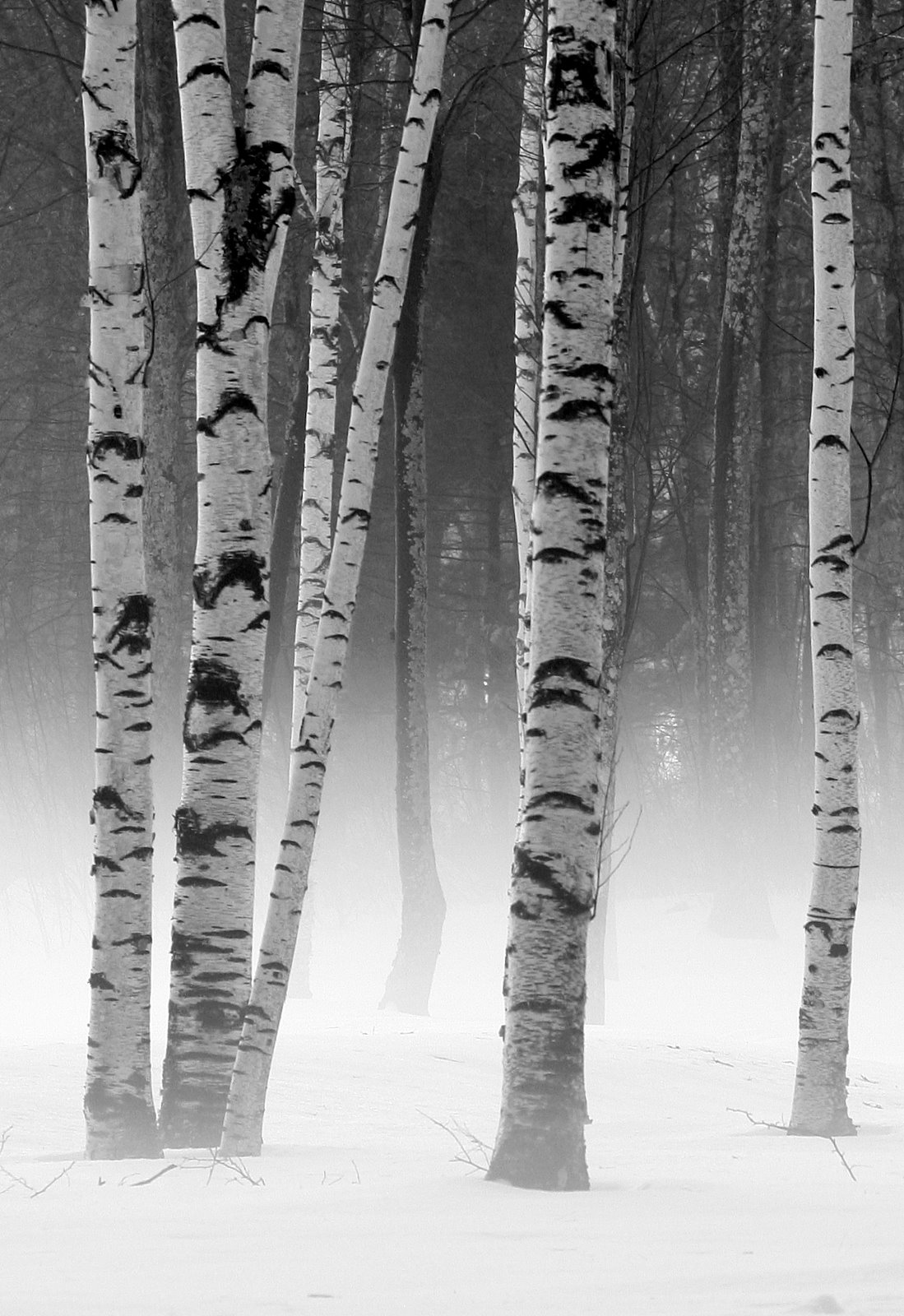 [2008-01-08+0732398.JPG]