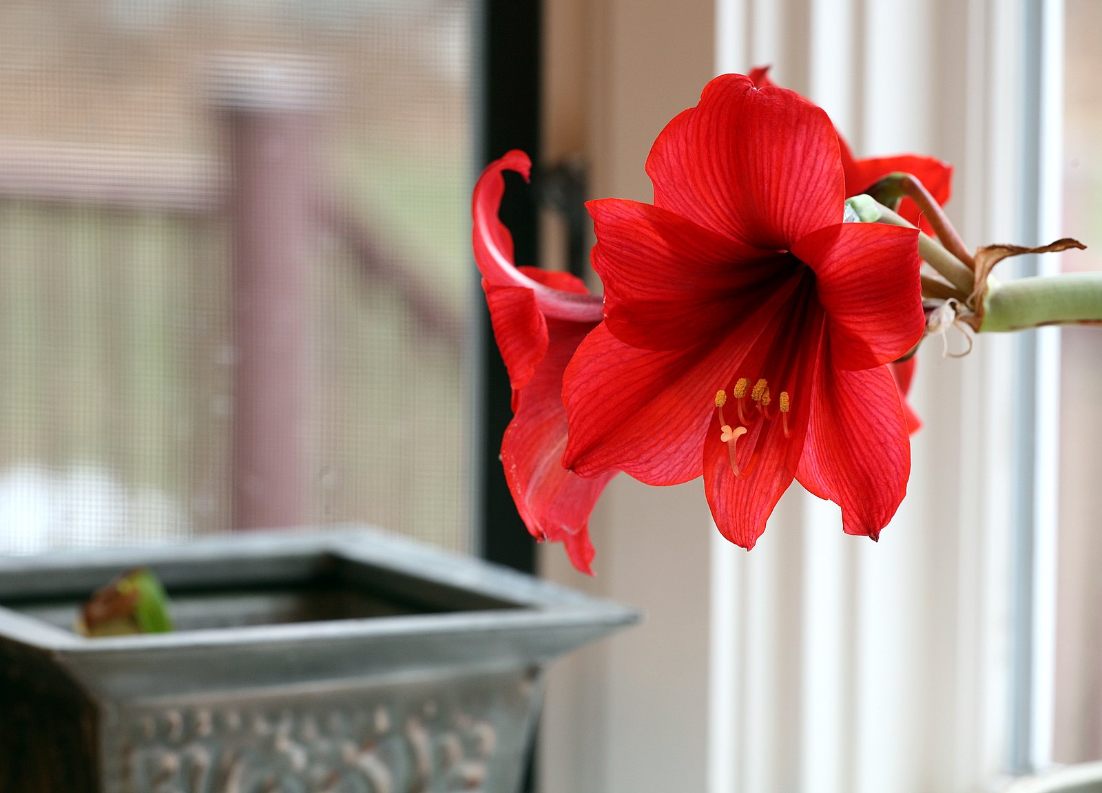 [2008-02-01+0807067.JPG]