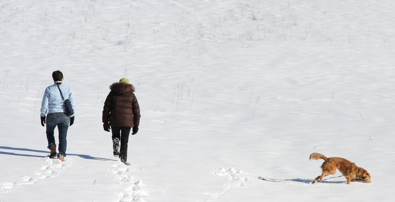 [2008-02-24+1447087.JPG]