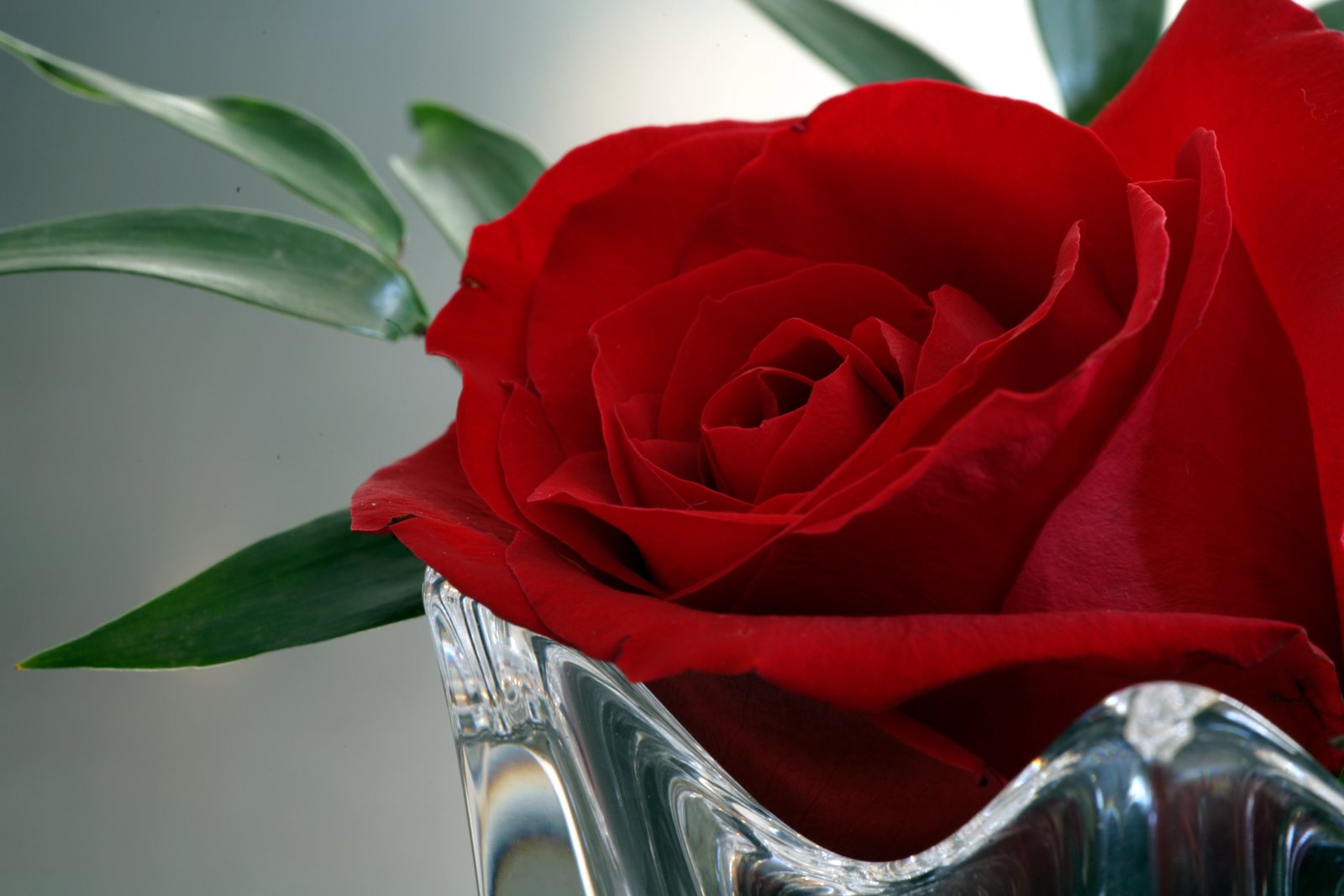 [2007-02-16+075731+6.JPG]