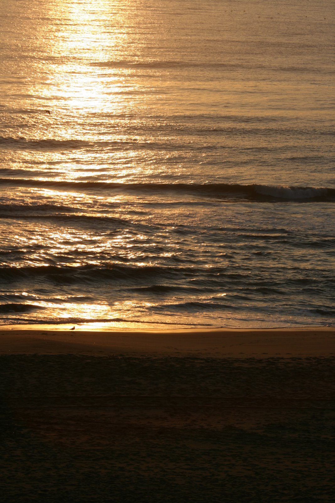 [2007-03-25+071823+5.JPG]