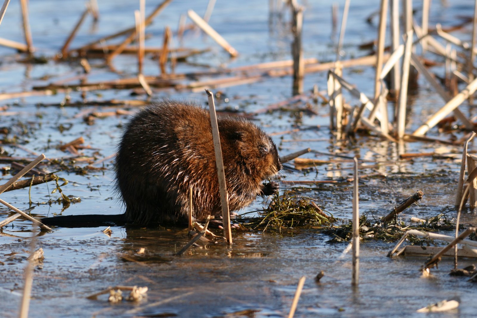 [2007-04-06+084525+2.JPG]