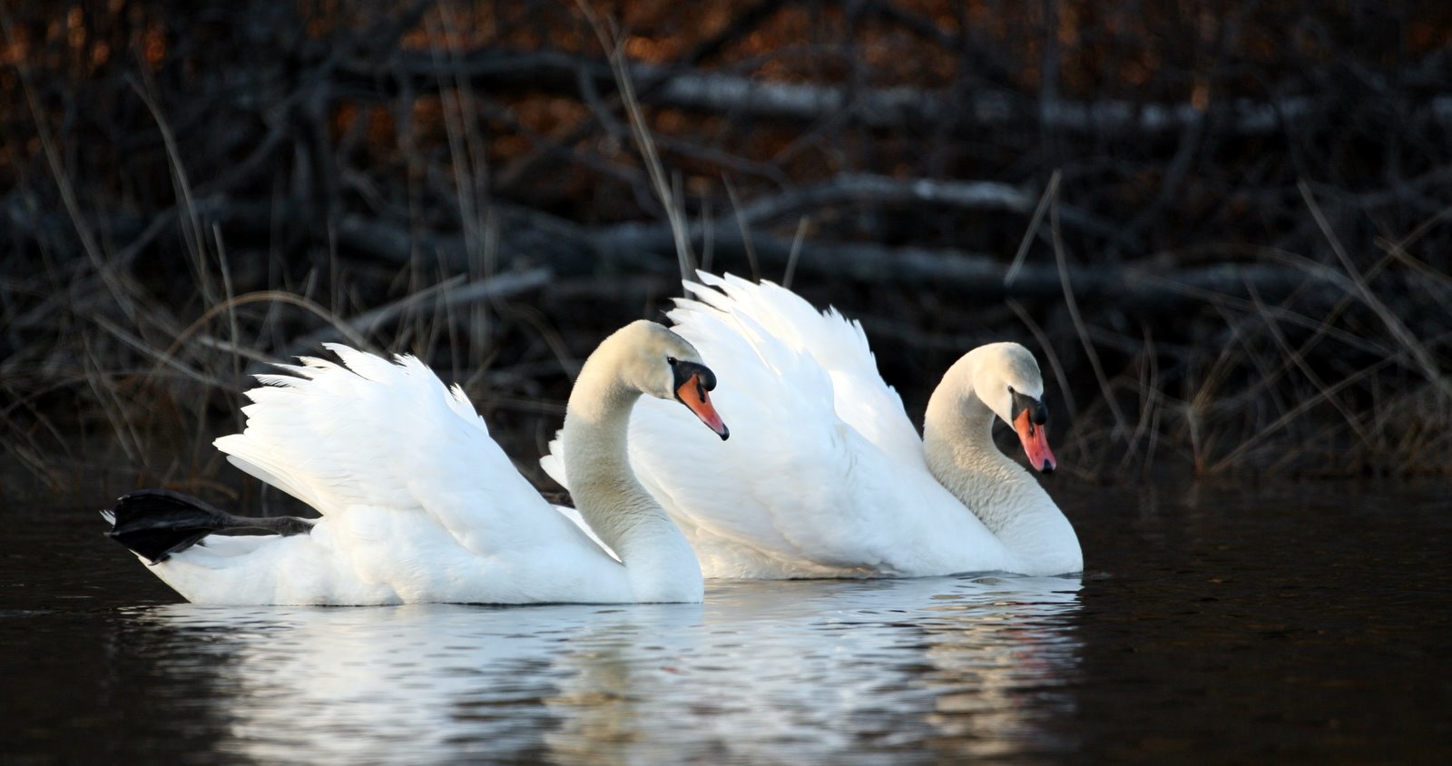 [2007-04-20+181210+6.JPG]