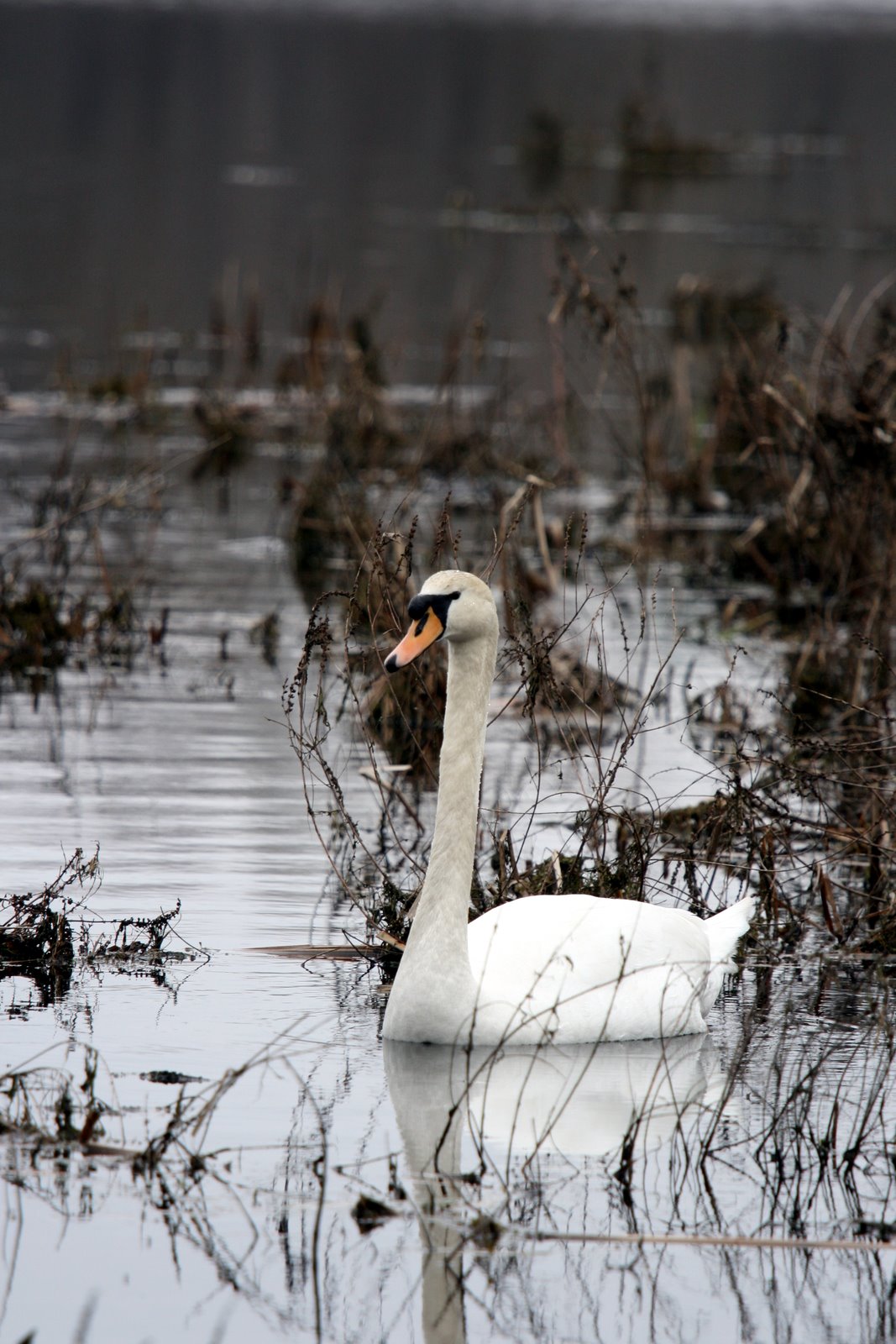 [2007-04-29+142435+3.JPG]