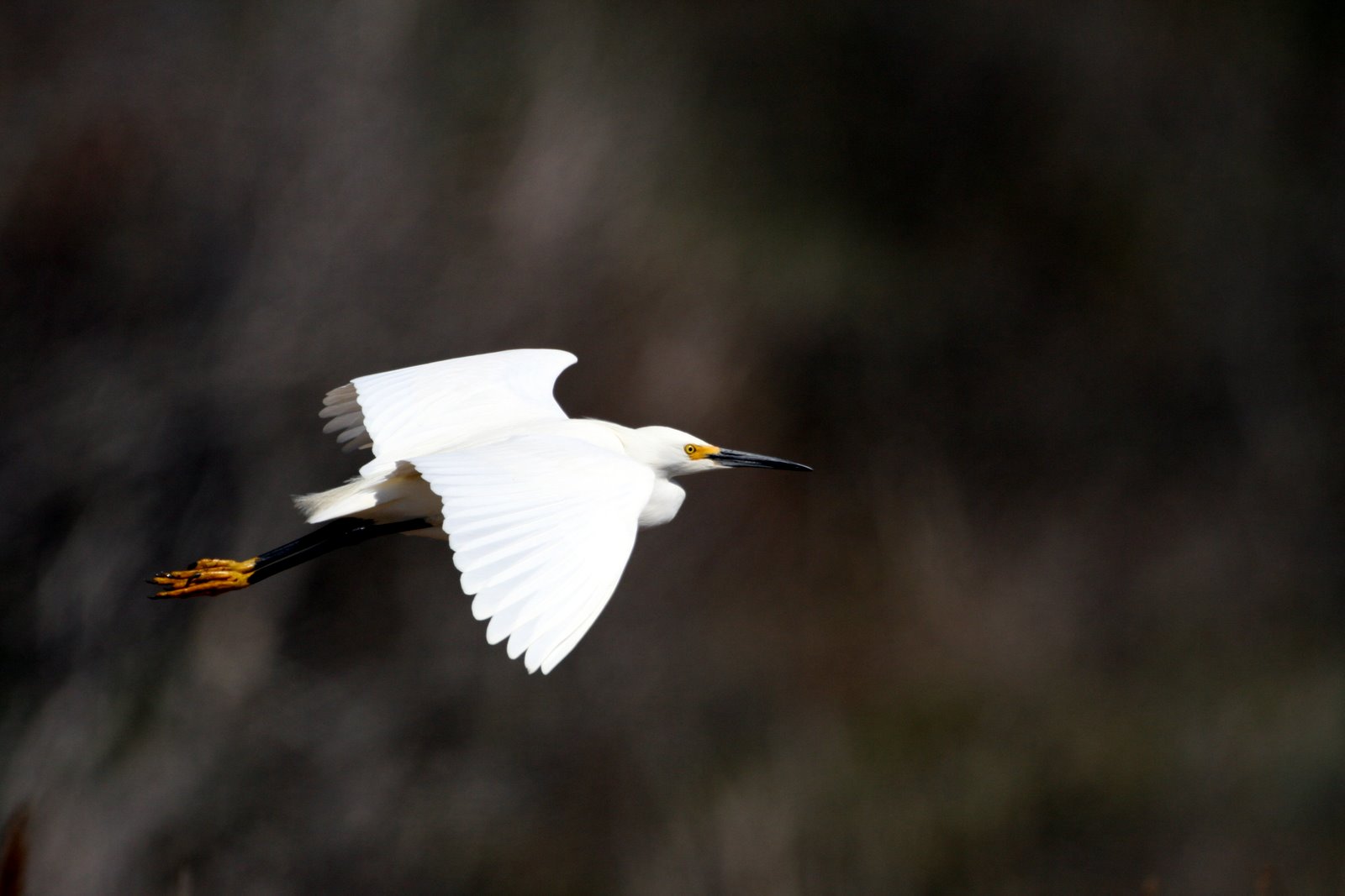 [2007-05-06+153007+8.JPG]