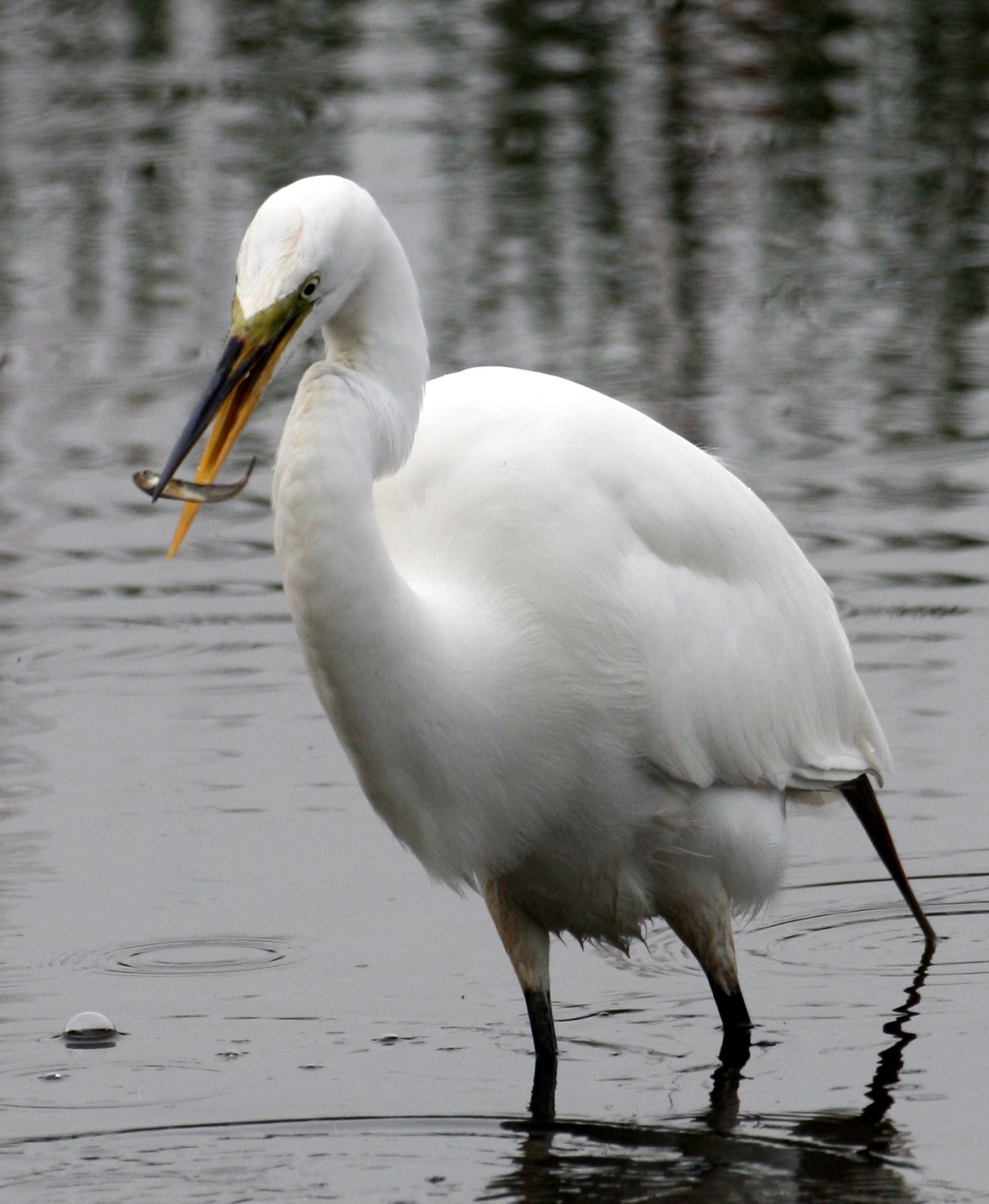 [2007-05-28+072851+3.JPG]