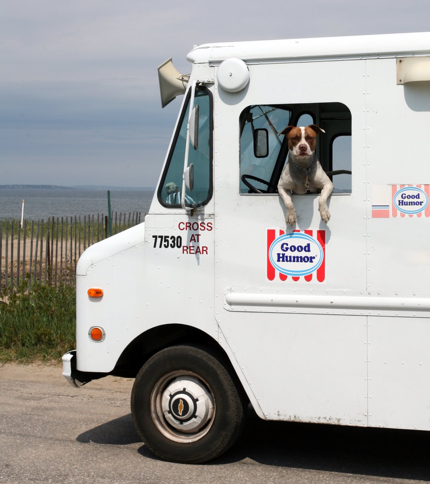 [2007-05-27+144052+6.JPG]