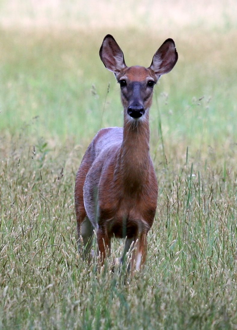 [2007-06-11+184706+4.JPG]