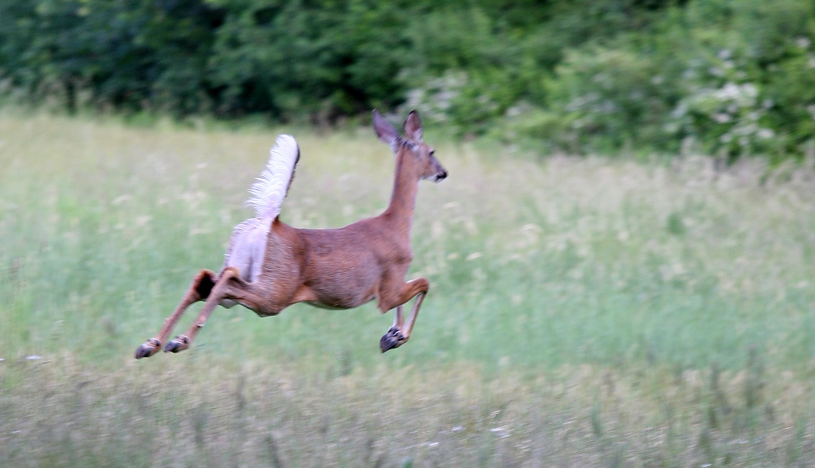 [2007-06-11+184732+8.JPG]