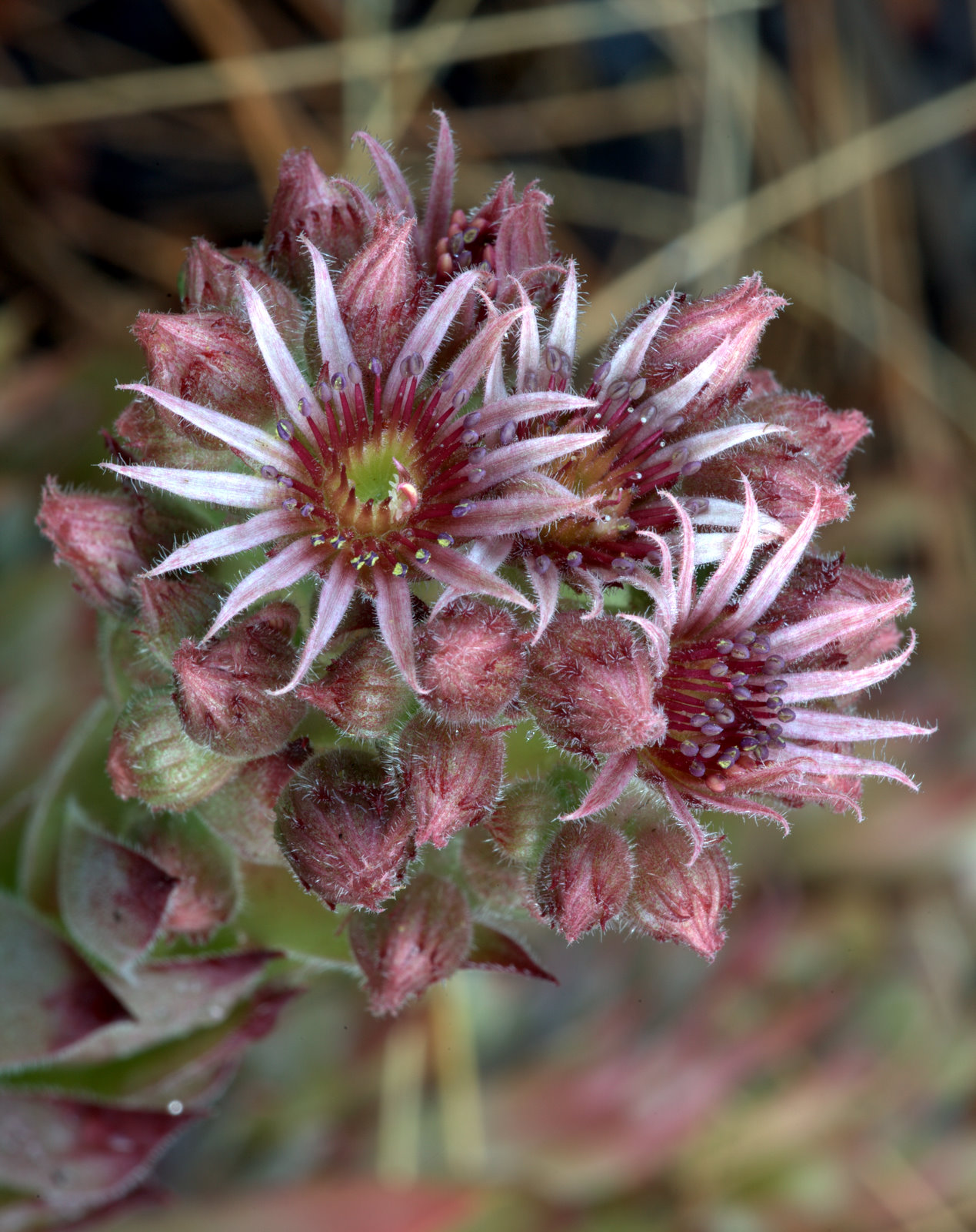 [2007-07-04+071421+5.jpg]