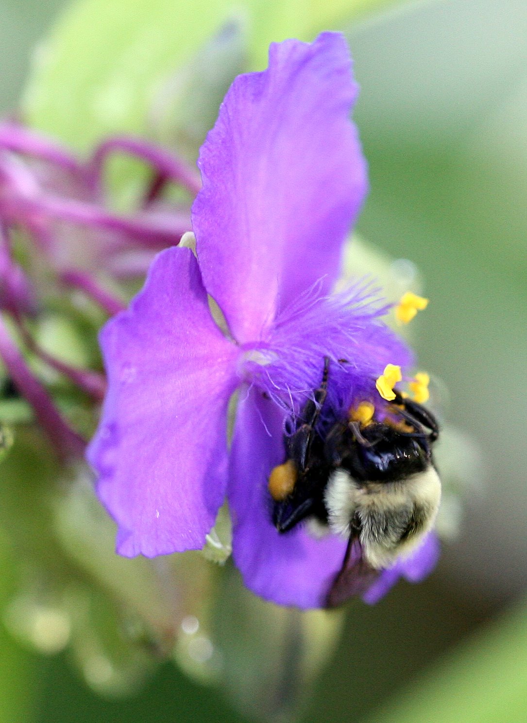 [2007-07-04+072908+4.JPG]