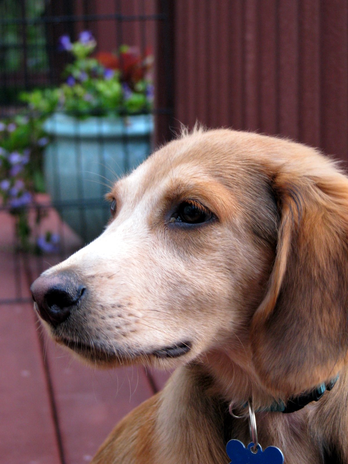 [2007-07-29+060754+5.JPG]