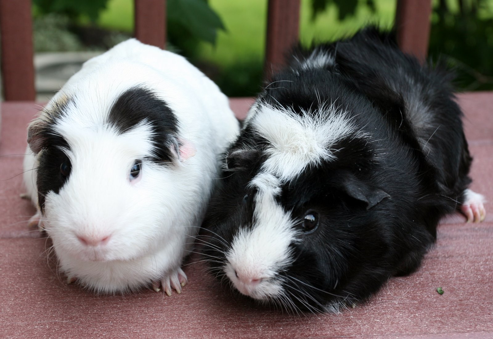 [2007-08-03+164022+5.JPG]