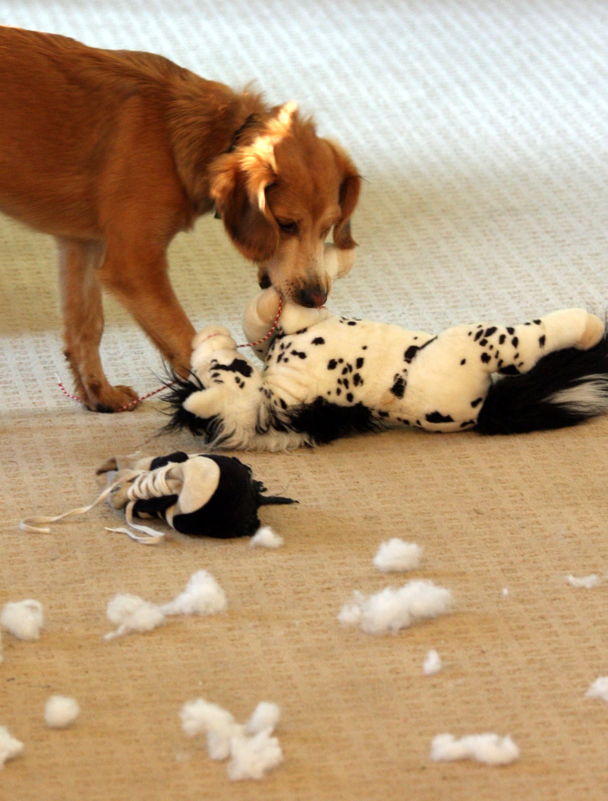 [2007-09-14+073508+0.JPG]