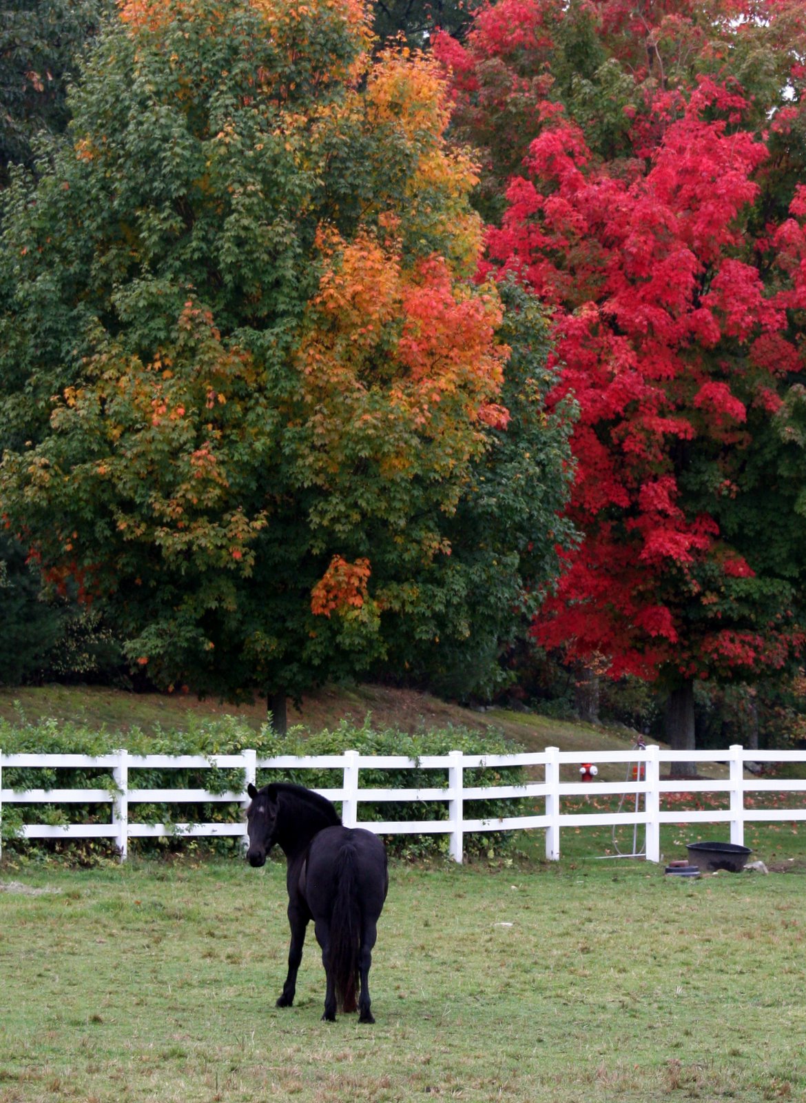 [2007-10-100909034.JPG]