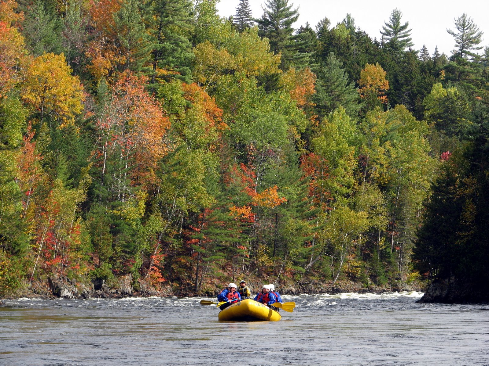 [2007-10-021217260.JPG]