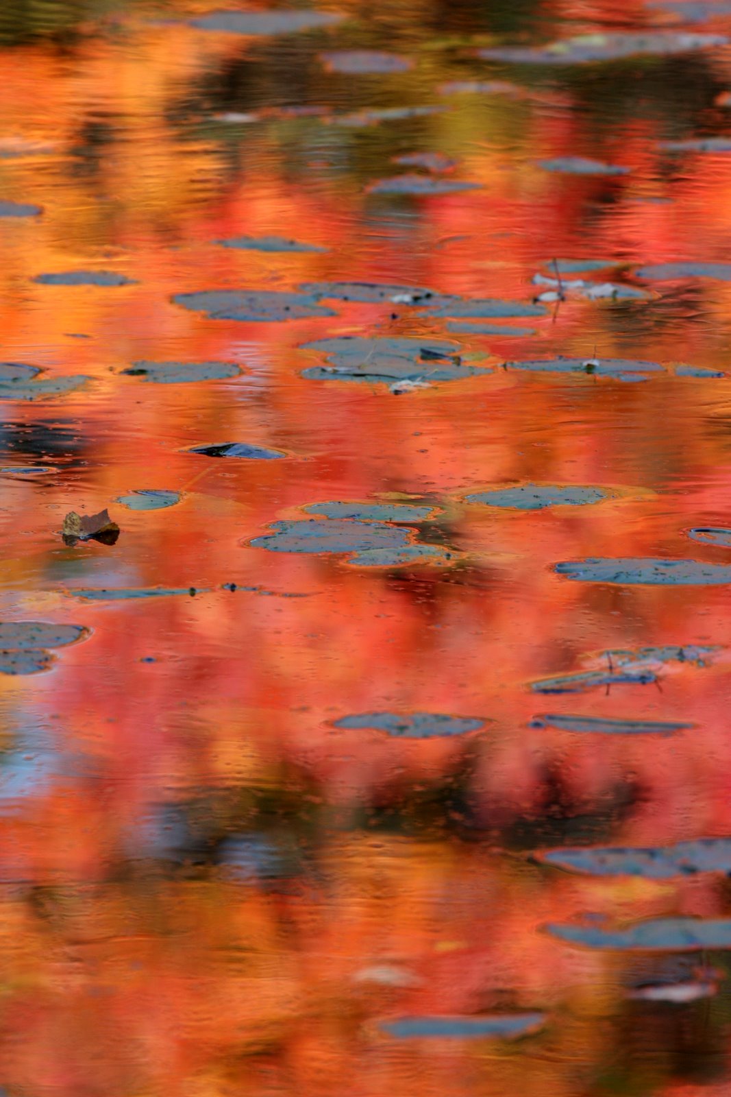 [2007-10-20+1452444.JPG]