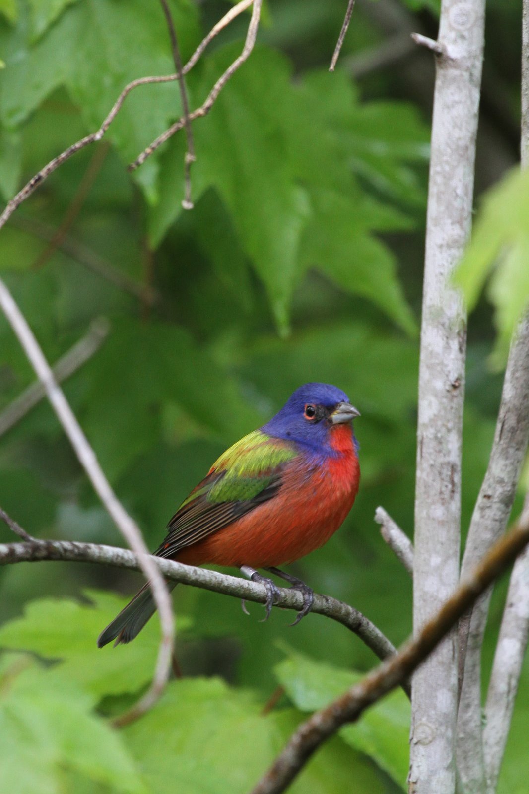 [2010-03-09+162658+680.JPG]