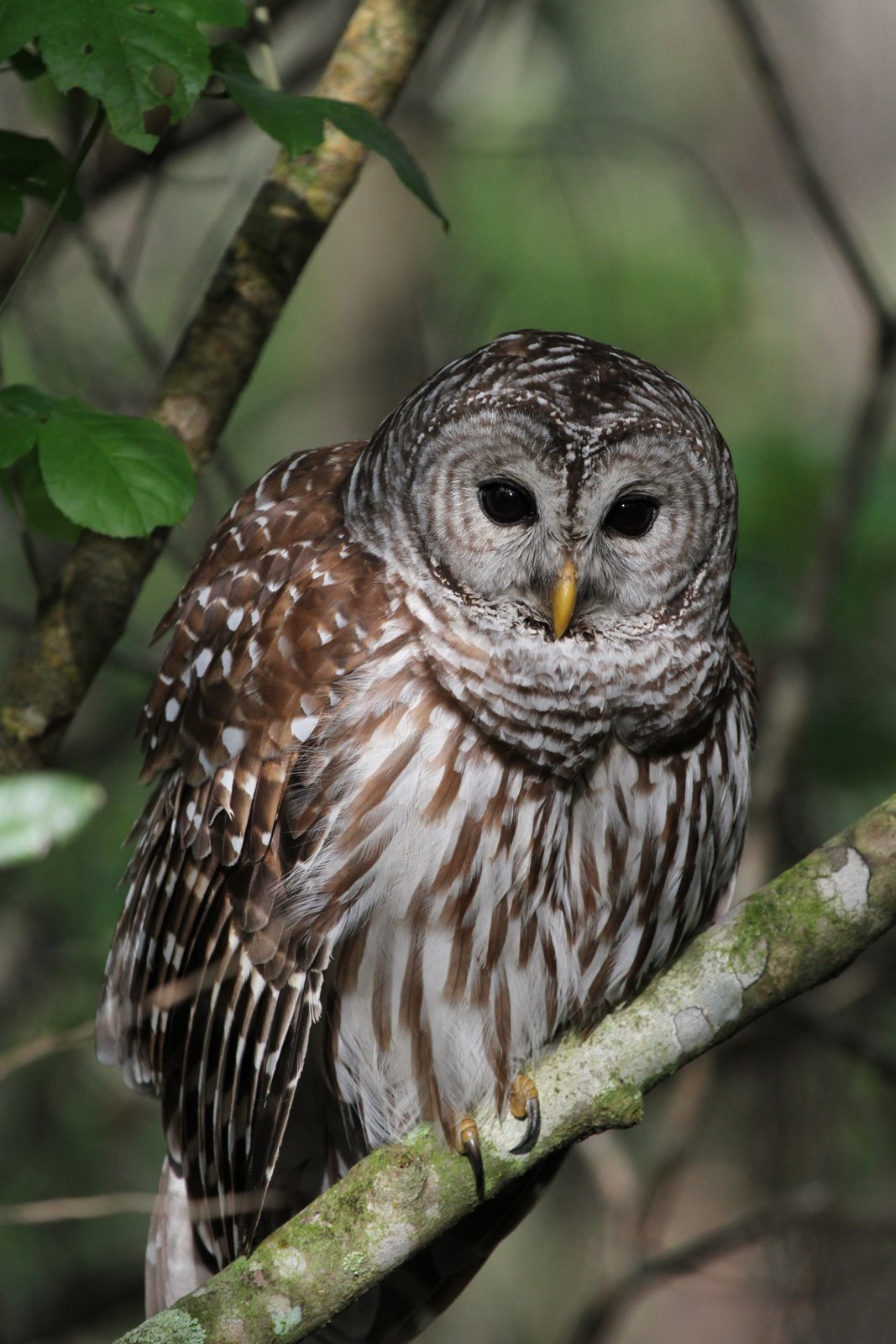 [2010-03-09+170353+748.JPG]