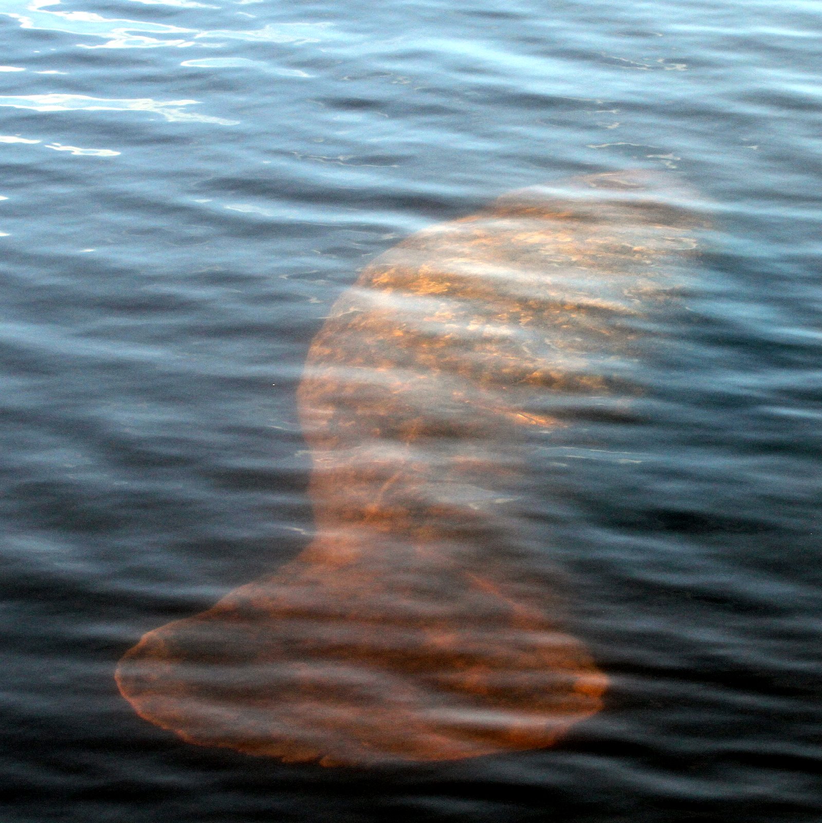 [2010-03-10+085022+864.JPG]