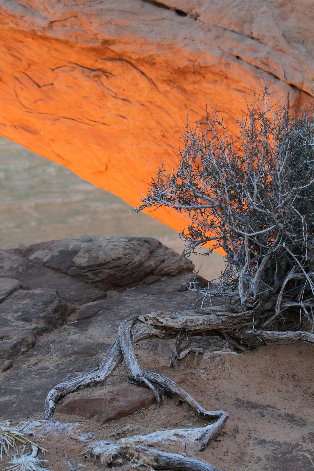 [2010-03-16+094646+291.JPG]