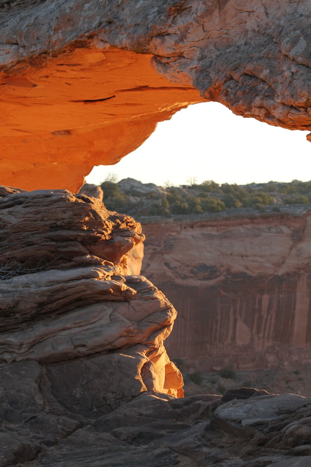 [2010-03-16+094705+292.JPG]