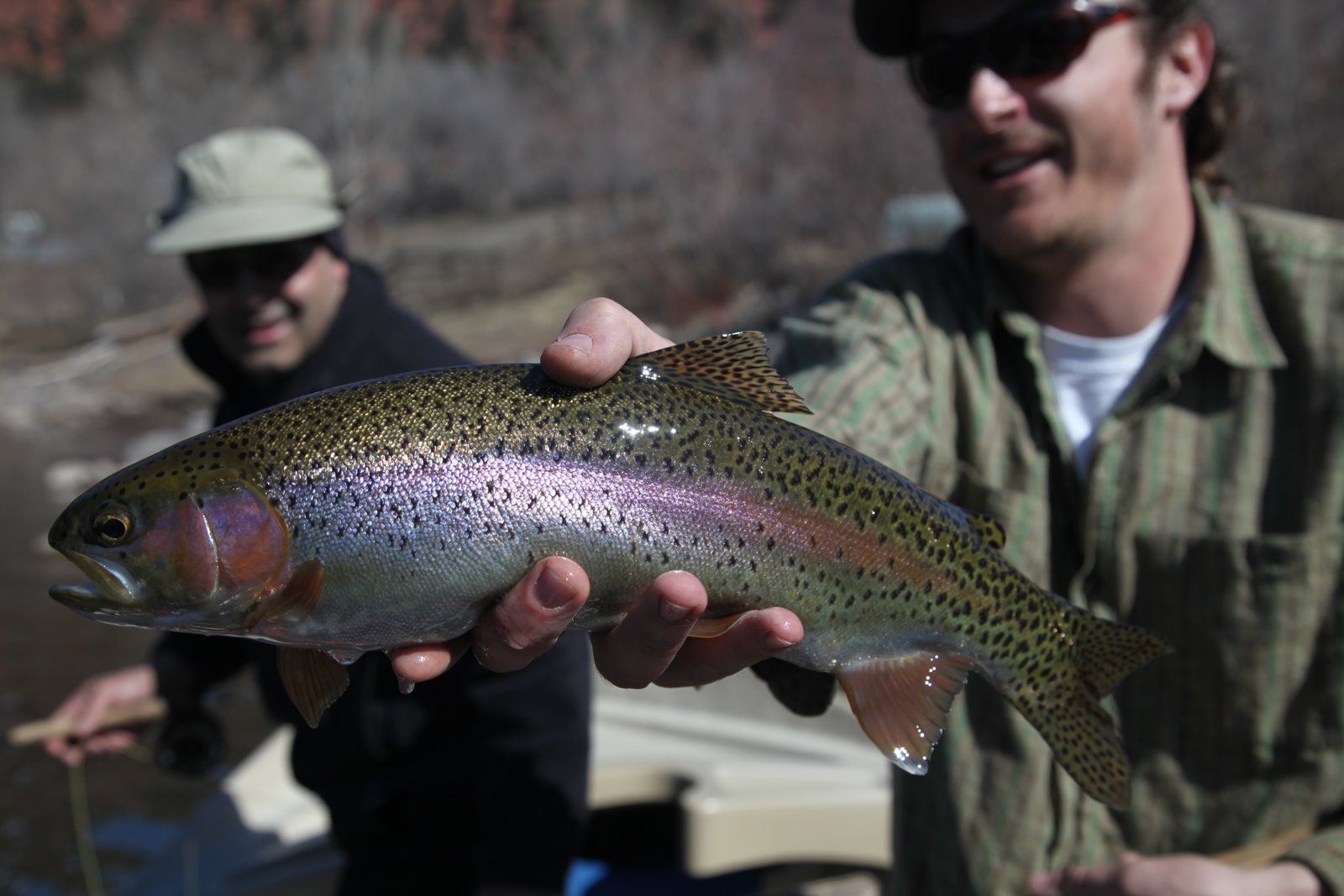 [2010-03-15+132253+801.JPG]