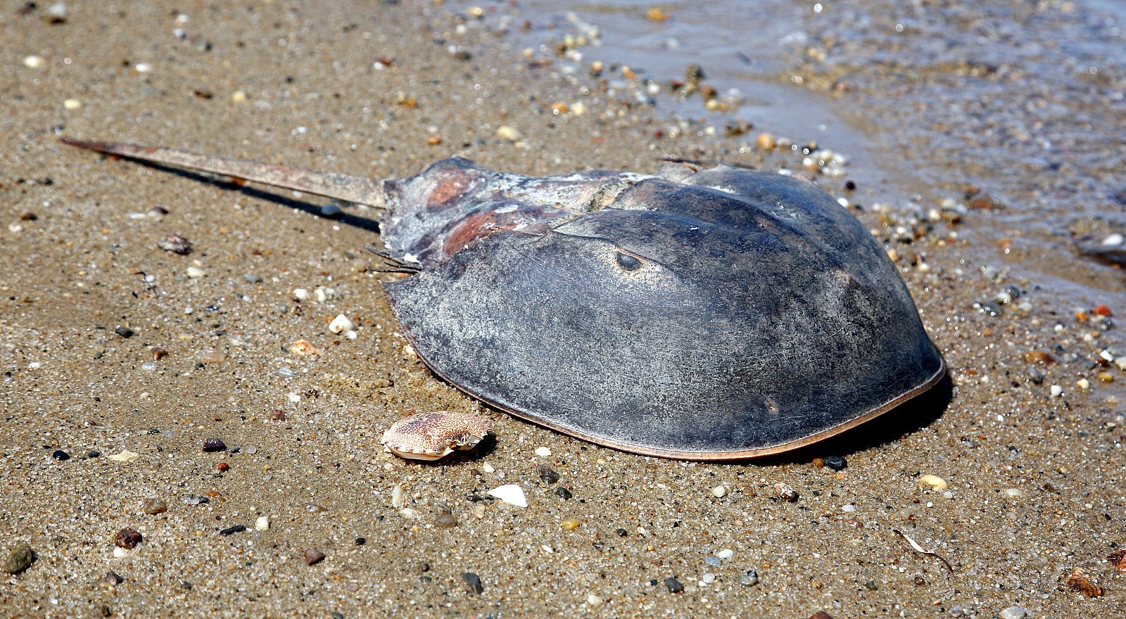 [2008-04-22+1142190.JPG]