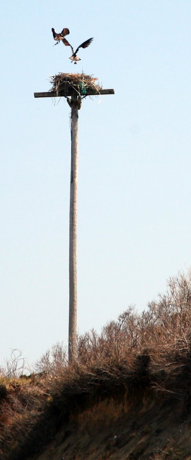 [2008-04-22+1204296.JPG]