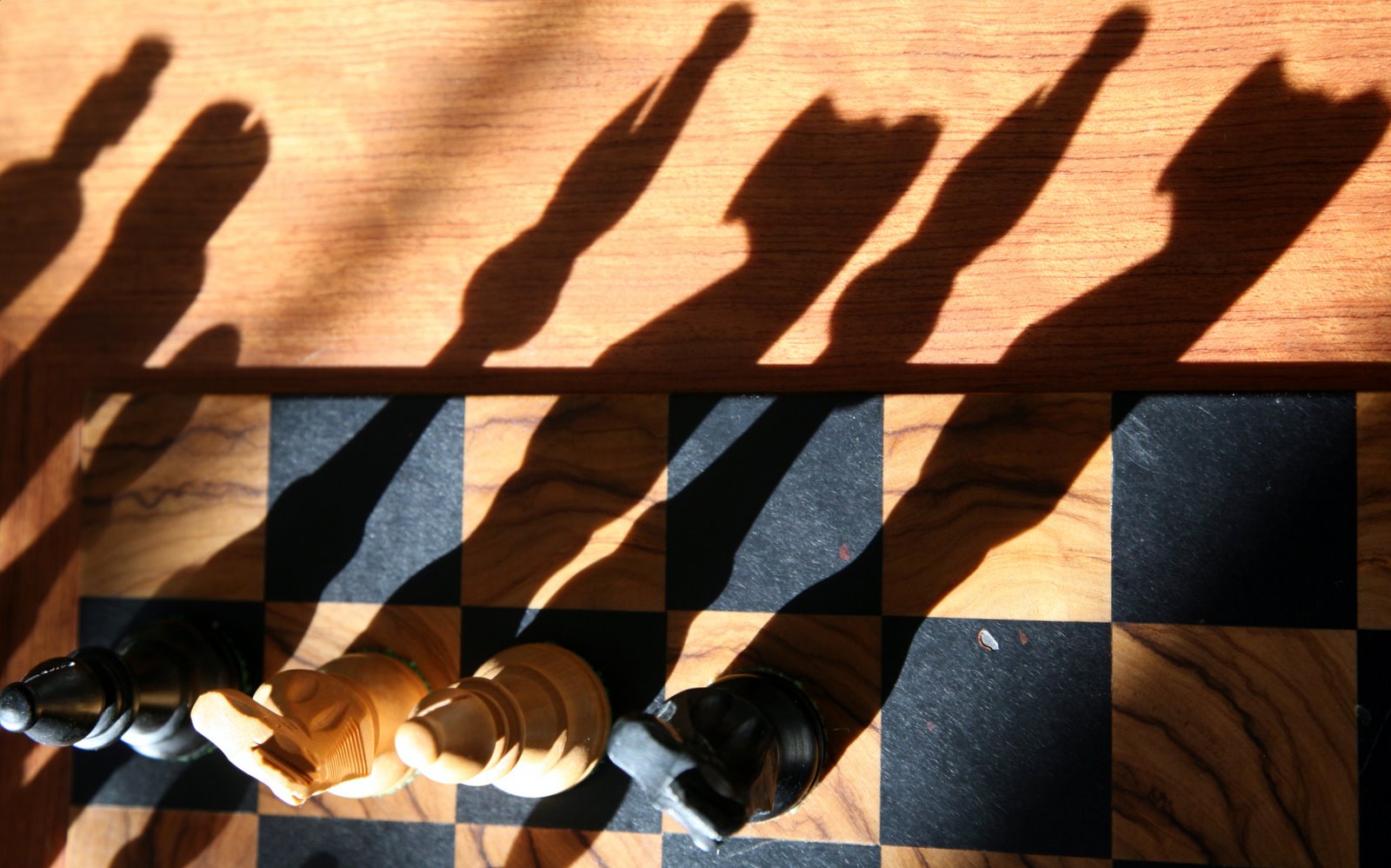 [2008-05-21+0723369.JPG]