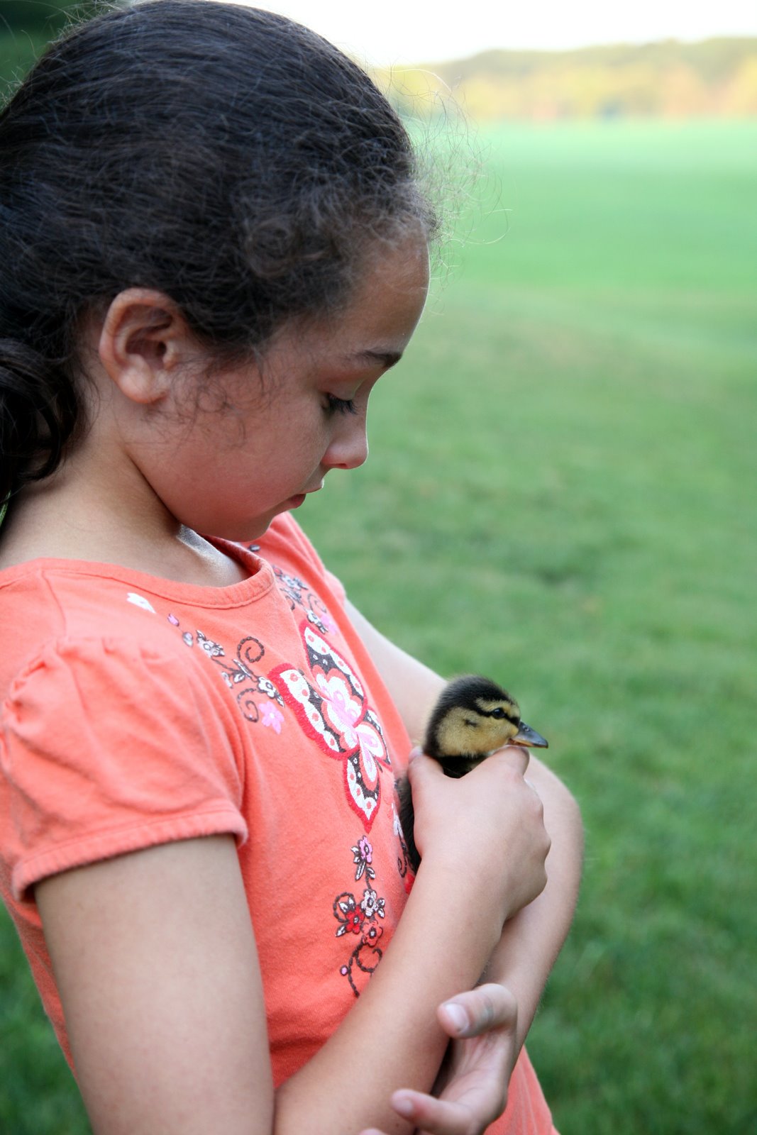 [2008-06-20+2000564.JPG]